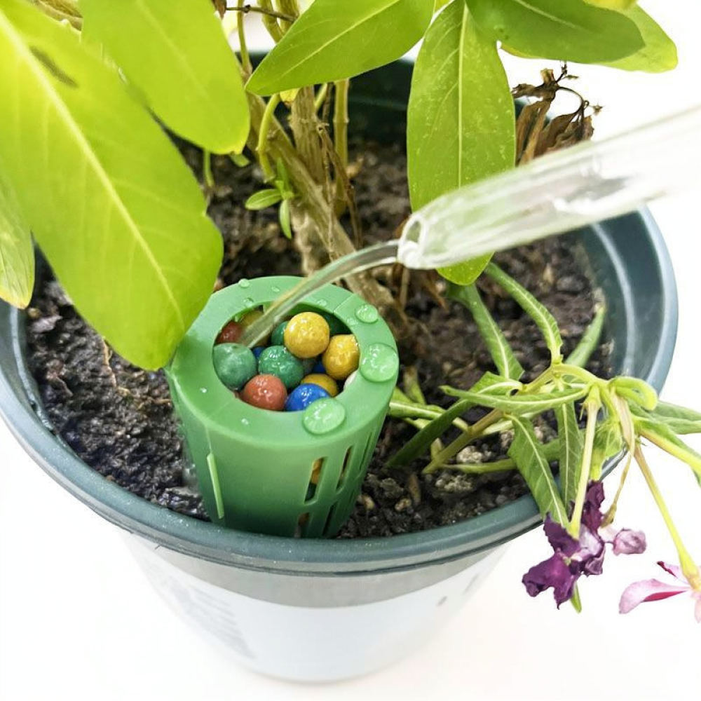 Fertilizer Box For Bonsai Plan - огляд і ціна Gardening Tools Essential