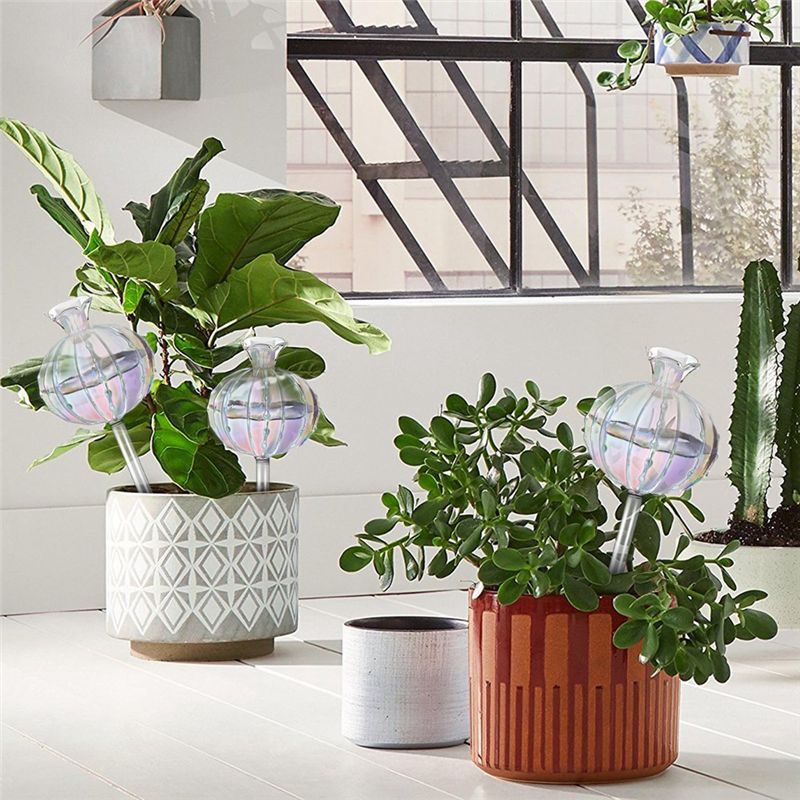 AA94-Plant Watering Bulbs Plan - огляд і ціна Self-Watering Planter
